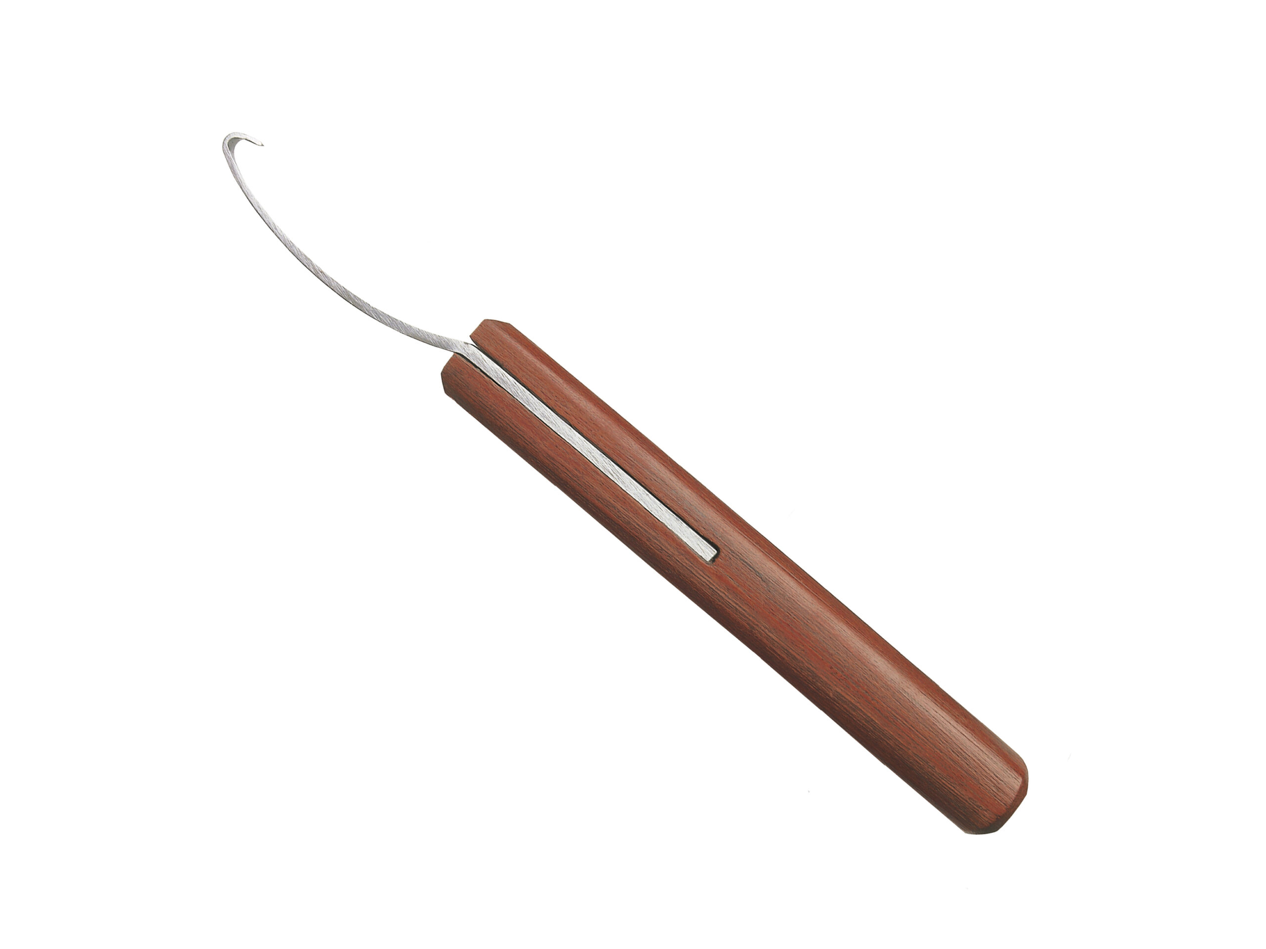 Gubia Izquierda Pampa Forge