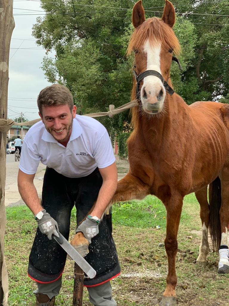 heller rasps escofinas argentina
