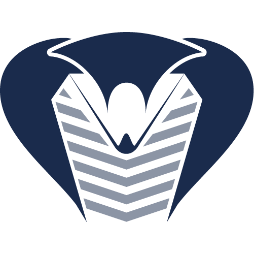 Logo COBRA Cravos