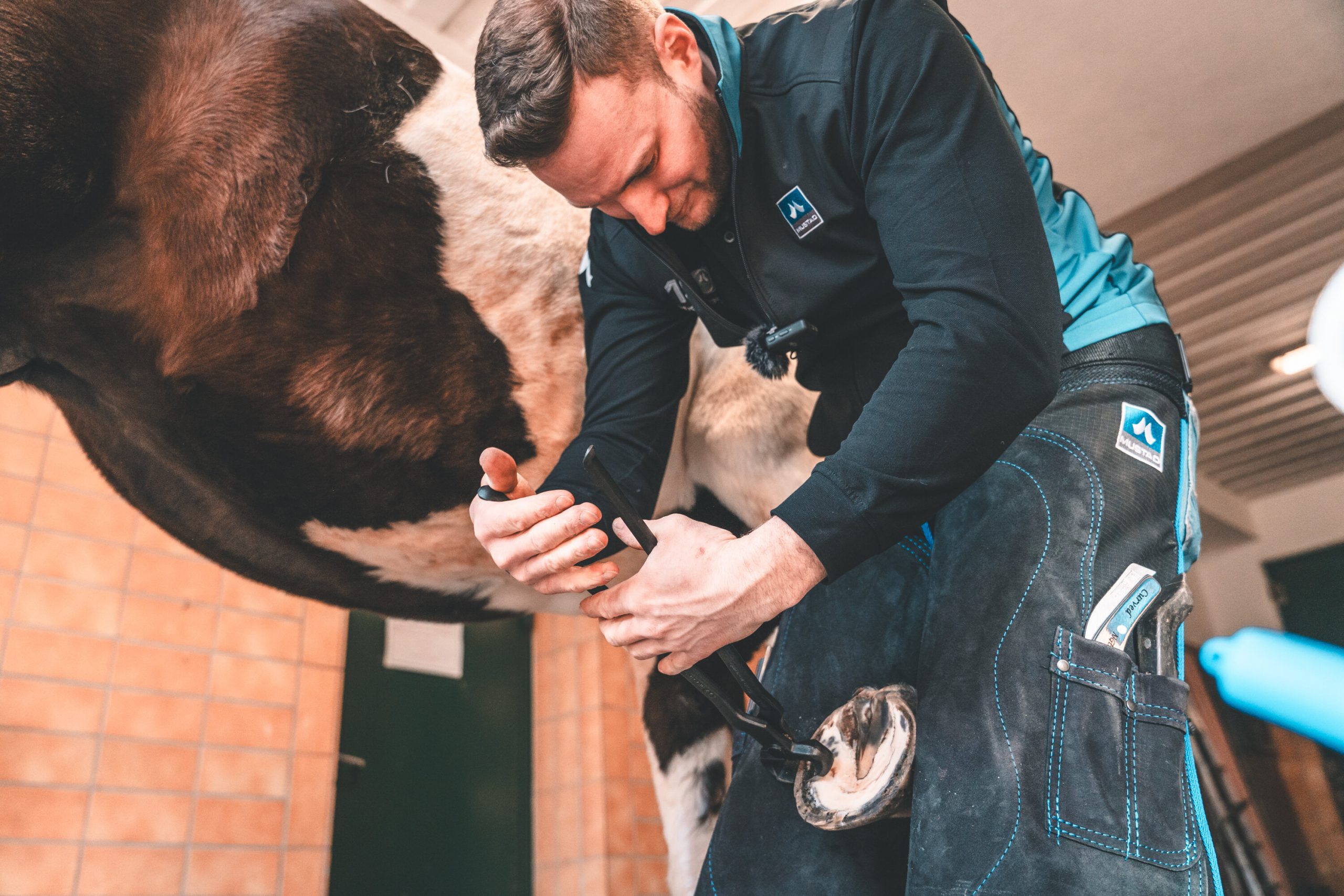 mustad ferraduras, cravos y ferramentas