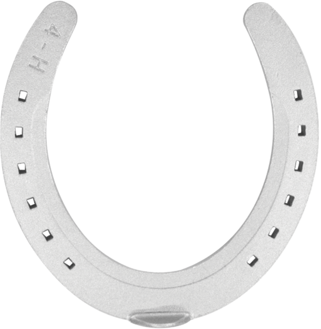 herradura aluminio paso fino 2