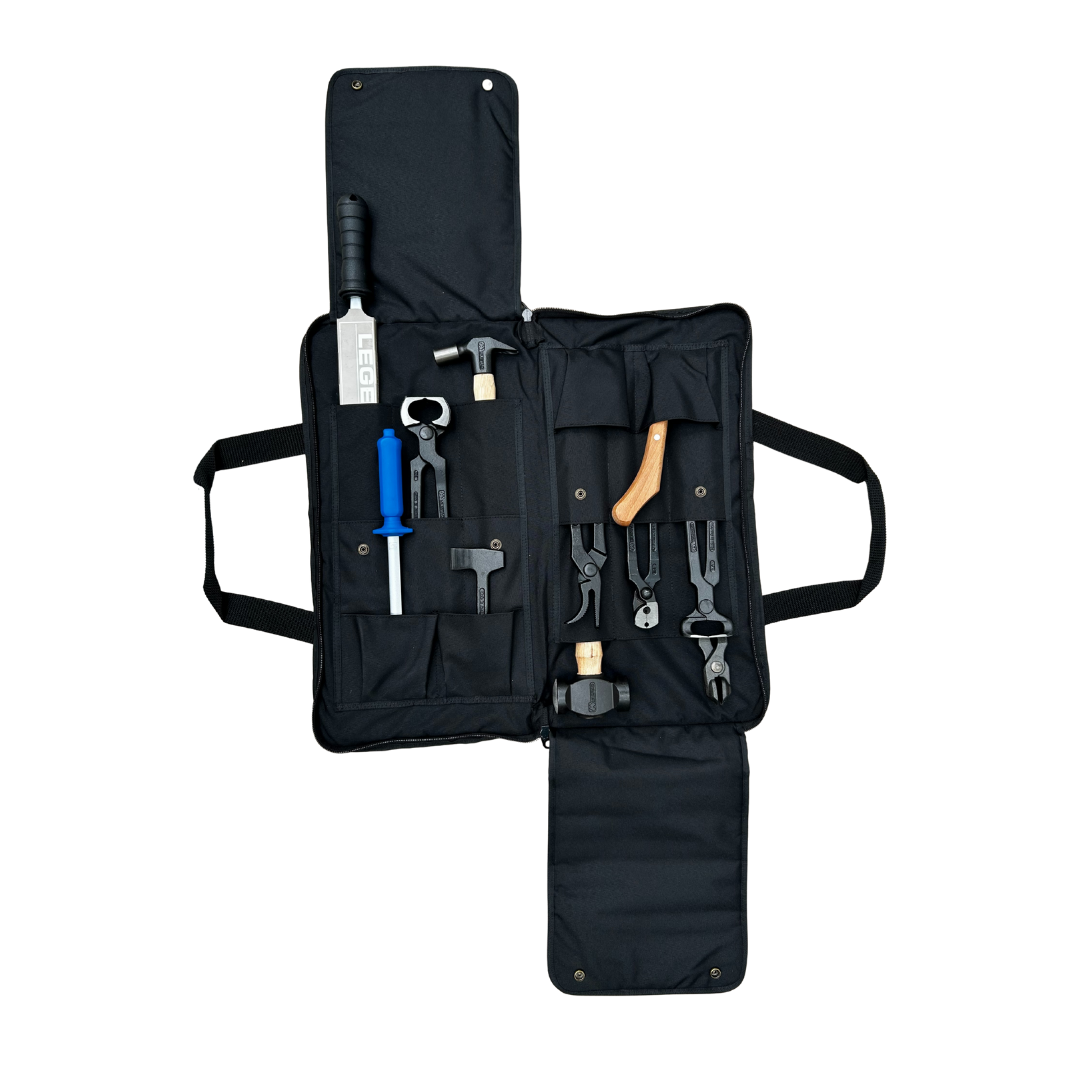 KIT DE HERRAMIENTAS PROFESIONAL