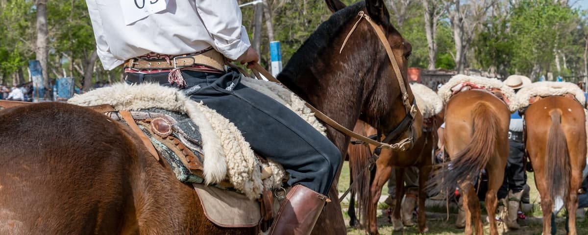 herraduras para charrería