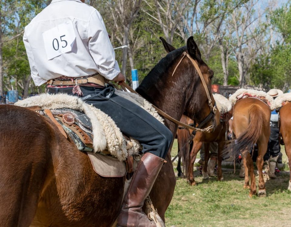 herraduras para charrería