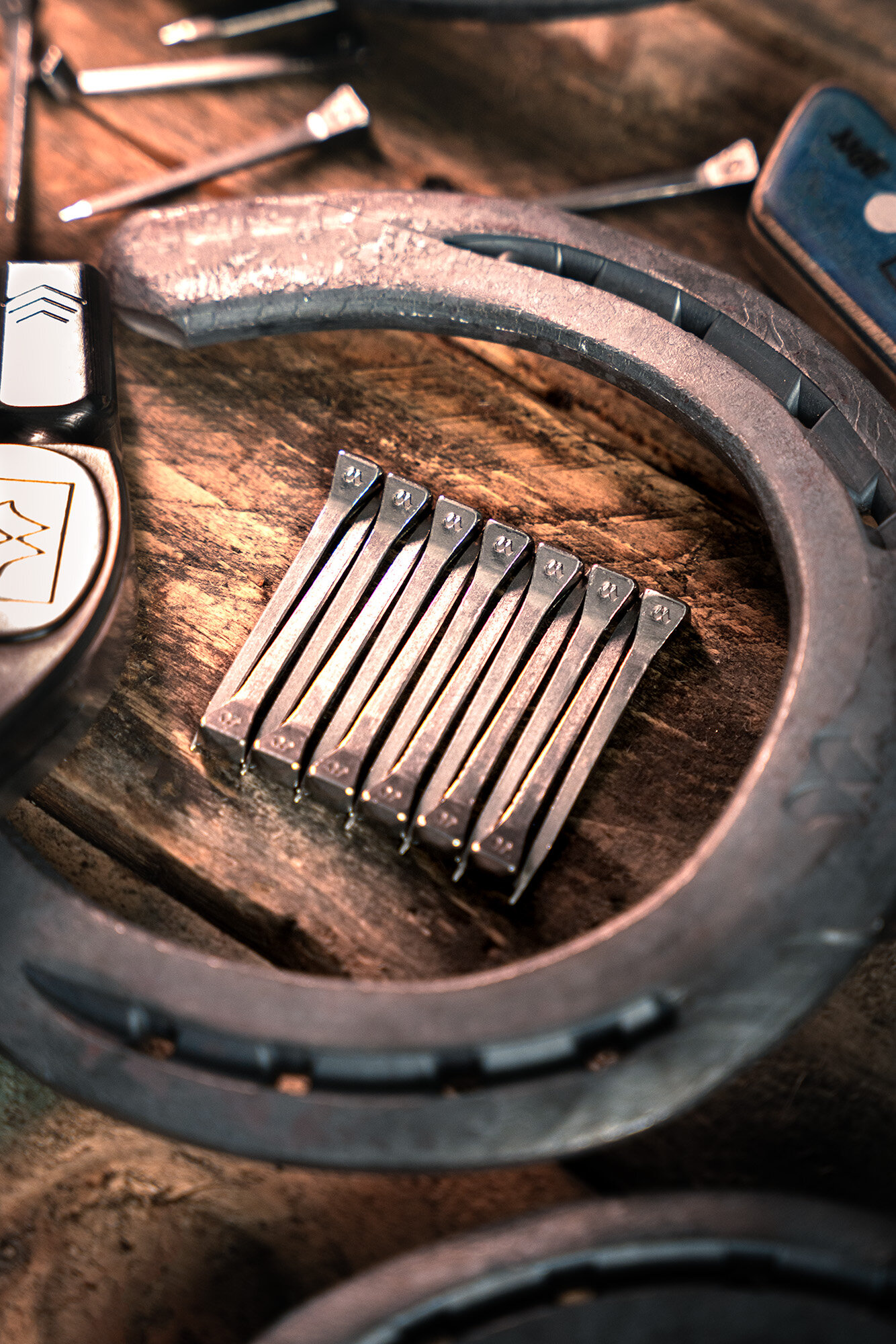 Clavos Mustad LiBero ARC para salto ecuestre