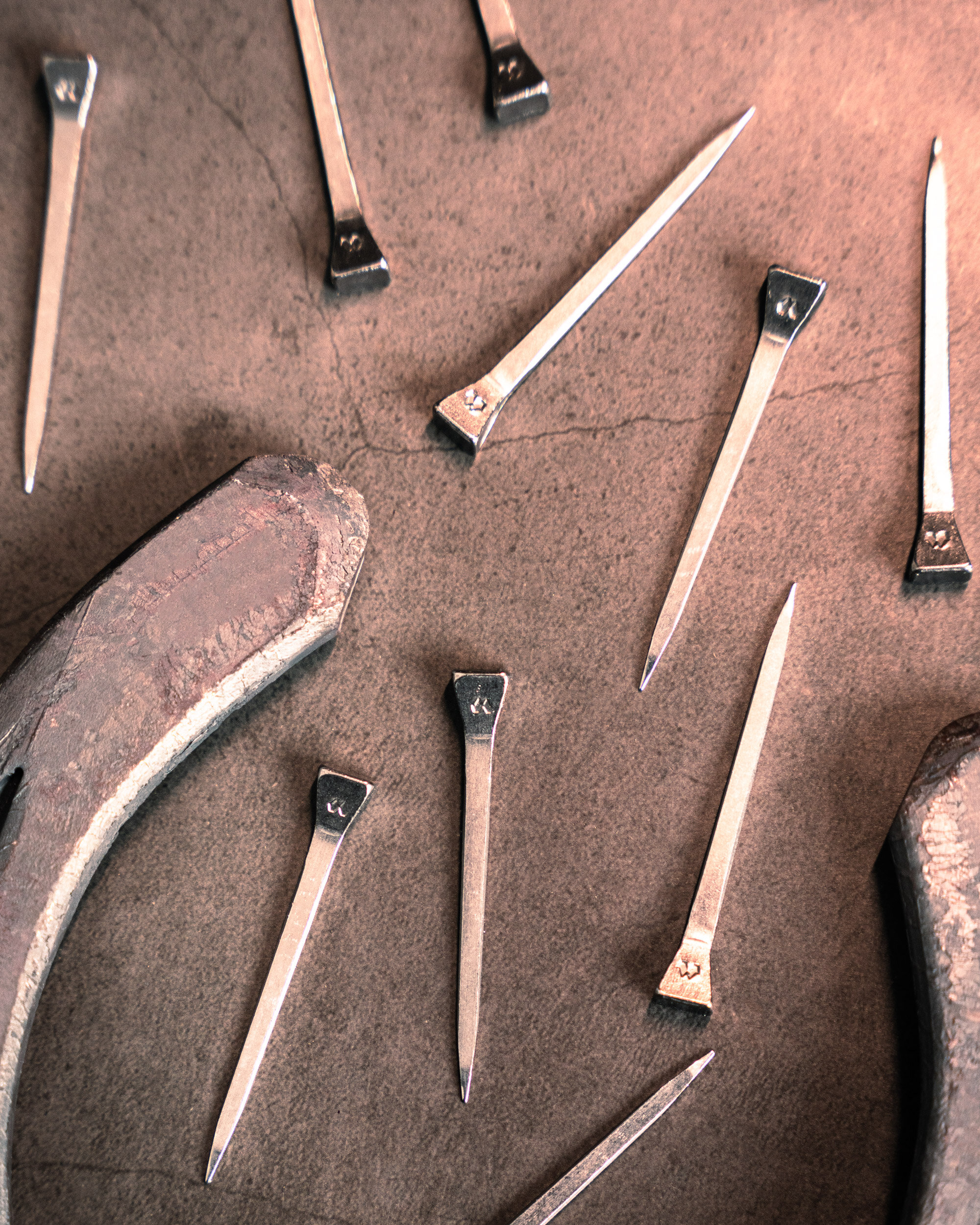 Clavo Mustad Concave – Cabeza angulada para un clavado optimizado