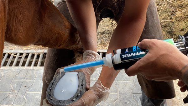 Comfortmix Hoof Pad ZnO 200 cc (Óxido de Zinc)