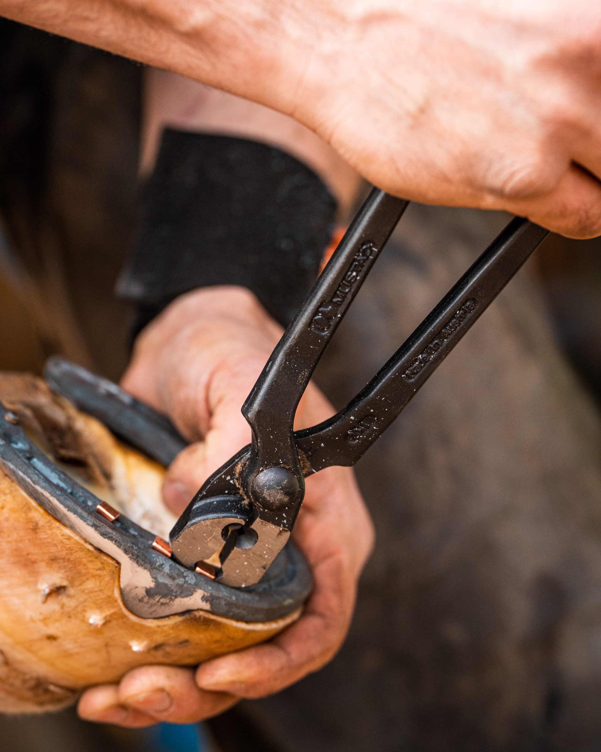 Herramienta Tenaza SACA CLAVOS Mustad