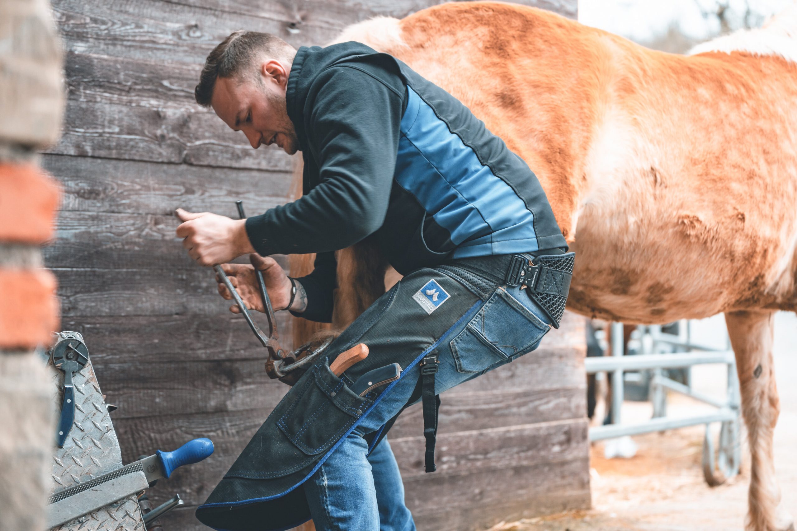 Herramienta TENAZA REMOVEDORA DE HERRADURAS MUSTAD