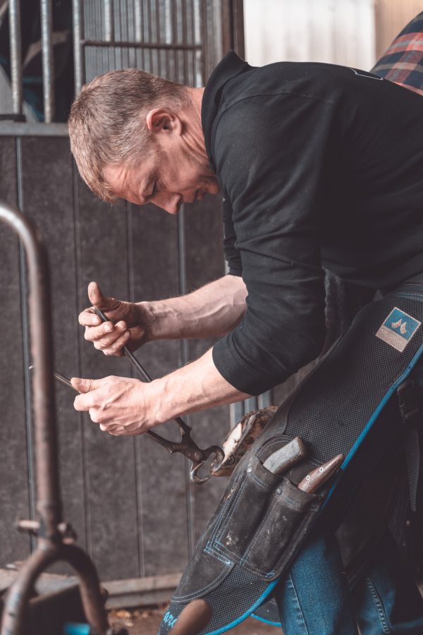 Tenazas corta cascos mustad