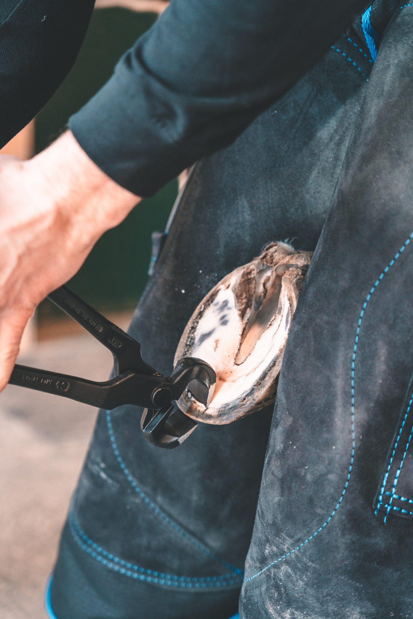 Tenazas corta cascos mustad