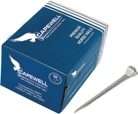 Clavo Capewell City Head