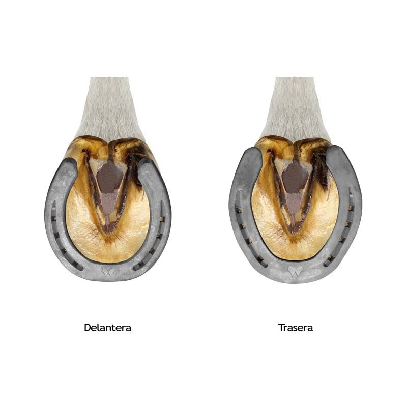 Herradura LiBero Tabla 25x10 (PAR)