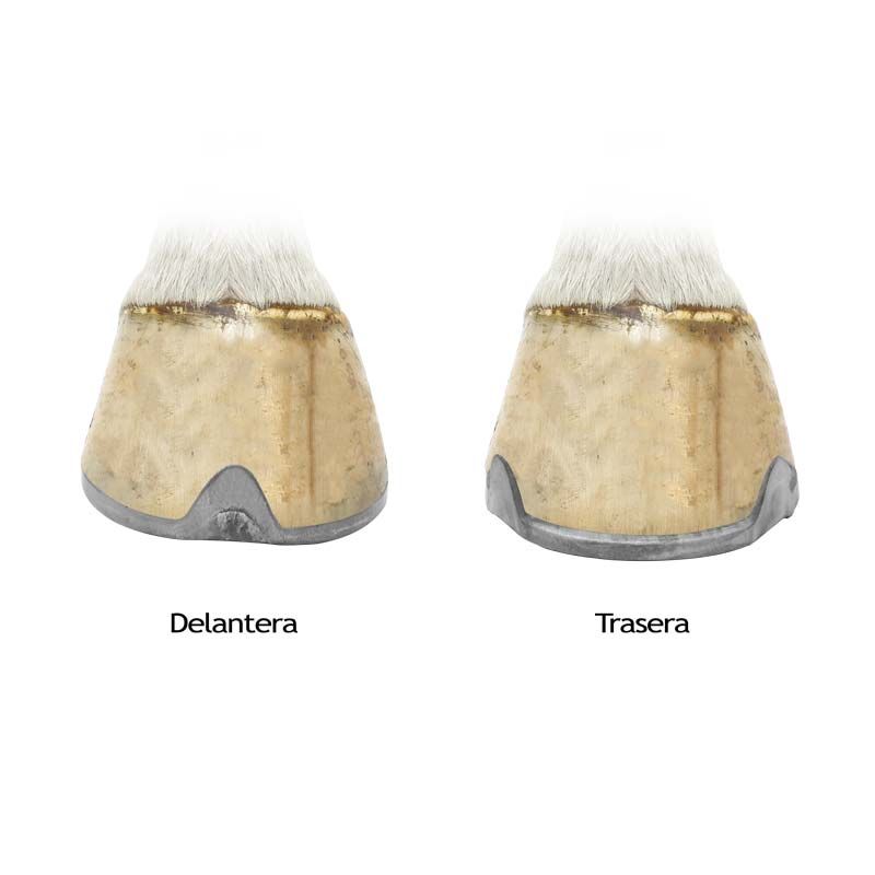 Herradura LiBero Tabla 25x10 (PAR)