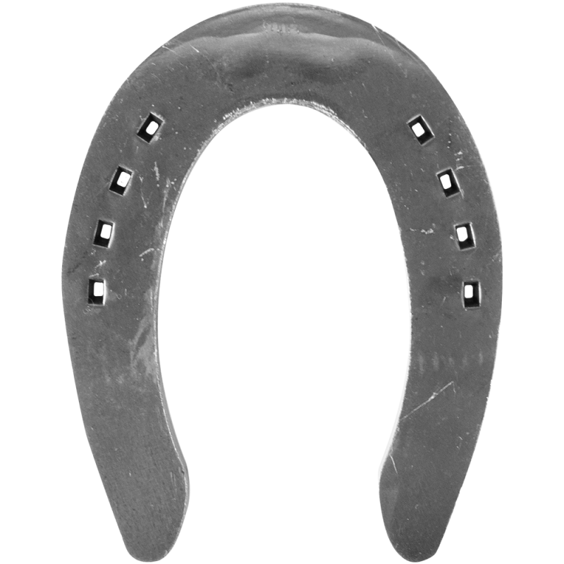 Herraduras de Cala o Reining (PAR)