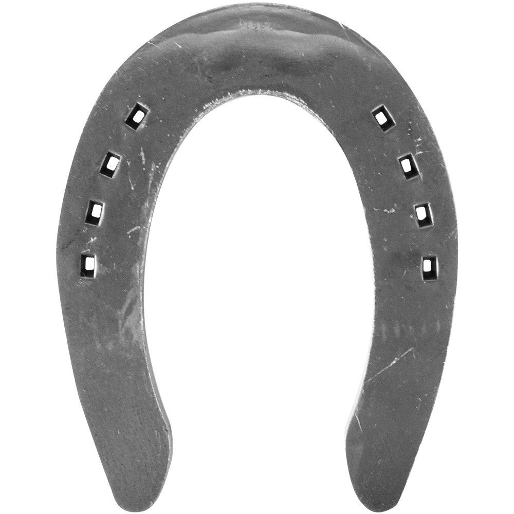 Herraduras de Cala o Reining (PAR)