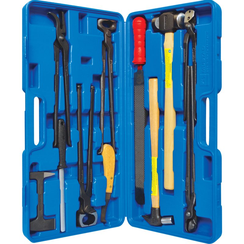 Kit Profesional de 12 Herramientas para Herrador