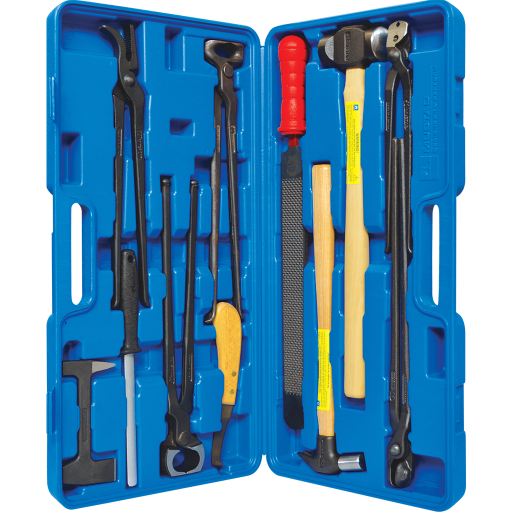 Kit Profesional de 12 Herramientas para Herrador