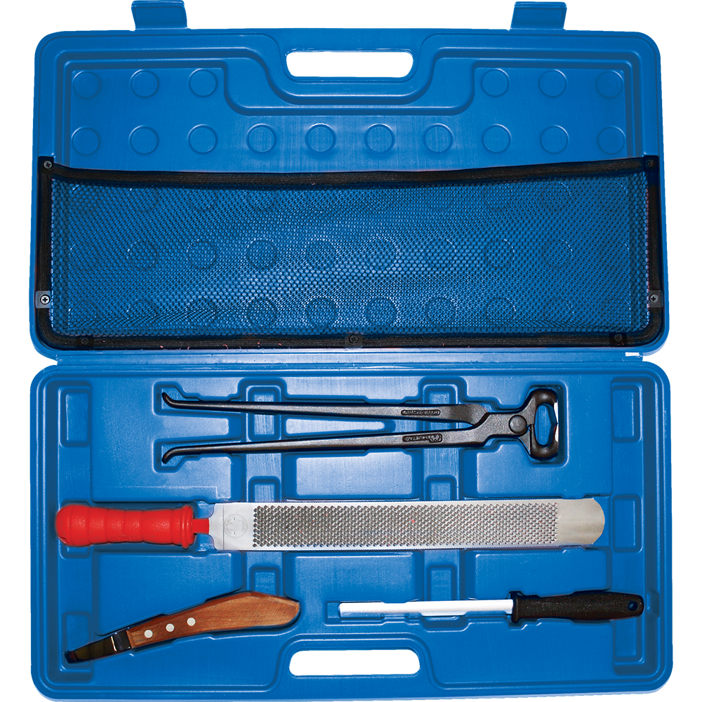 Kit Desvase de 5 Herramientas para Herrador
