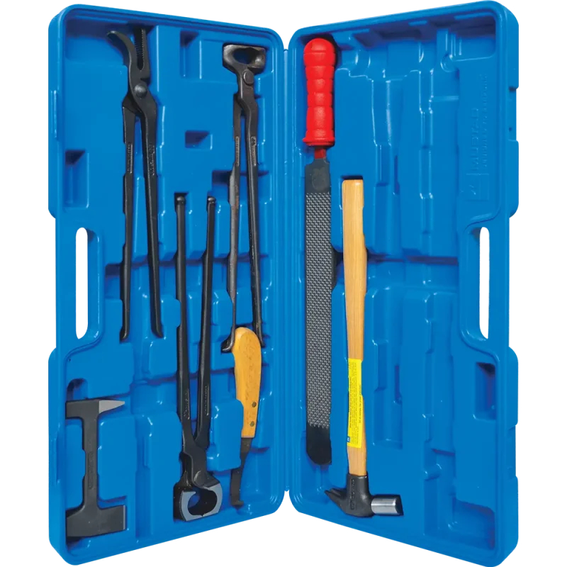 Kit Básico de 8 Herramientas para Herrador