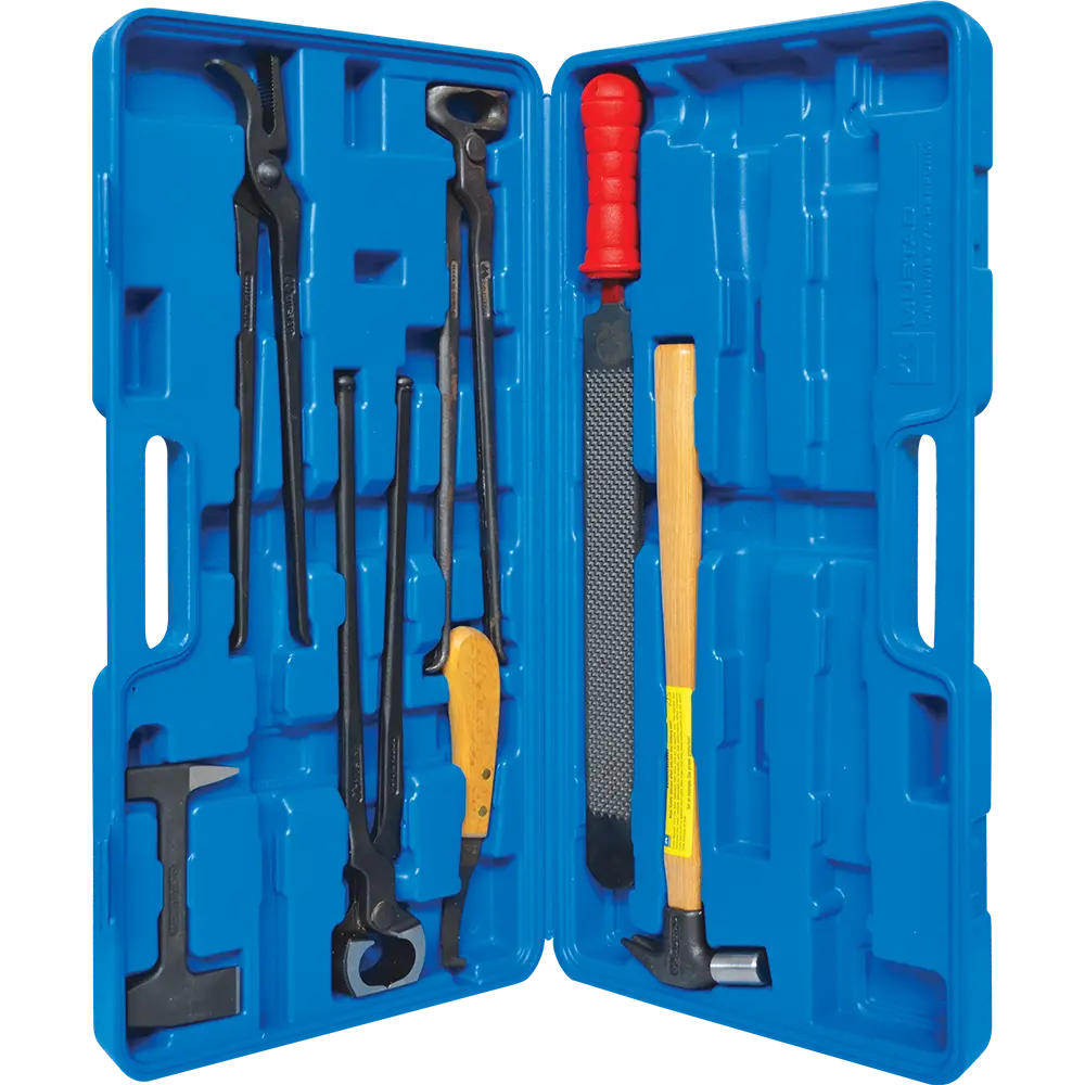 Kit Básico de 8 Herramientas para Herrador