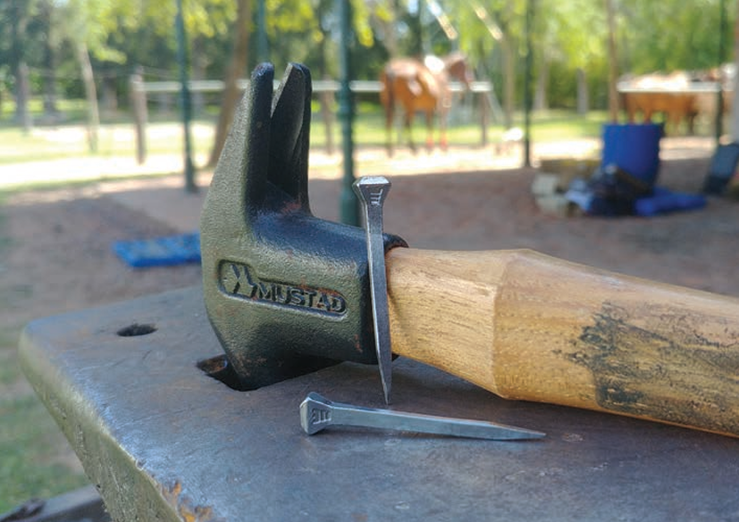 herraduras y clavos corona en mexico